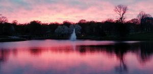 Kansas City IP Attorney